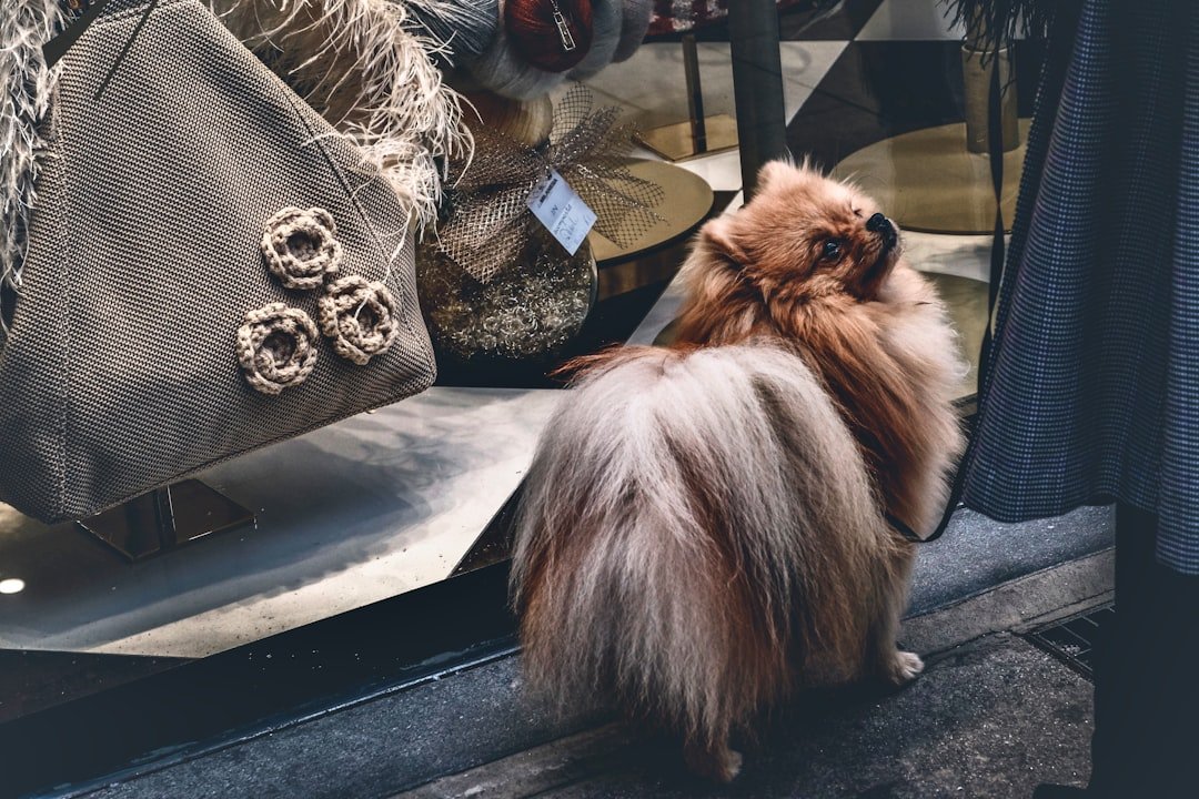 services-img Please dont cry